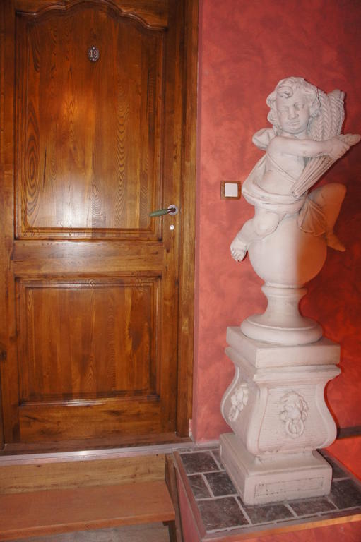 Aux Logis De La Solre Bed & Breakfast Ferrière-la-Petite Стая снимка