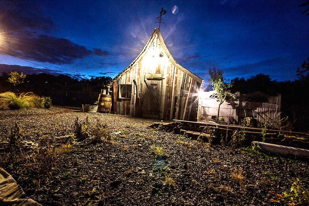 Aux Logis De La Solre Bed & Breakfast Ferrière-la-Petite Екстериор снимка